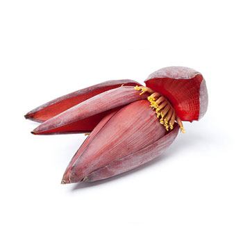 Banana Flower