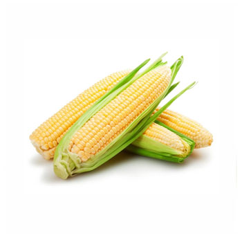 Corn