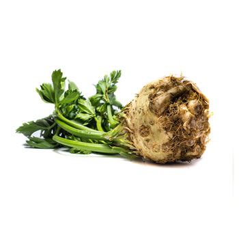 Celery Root