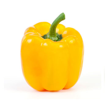 Capsicum Yellow